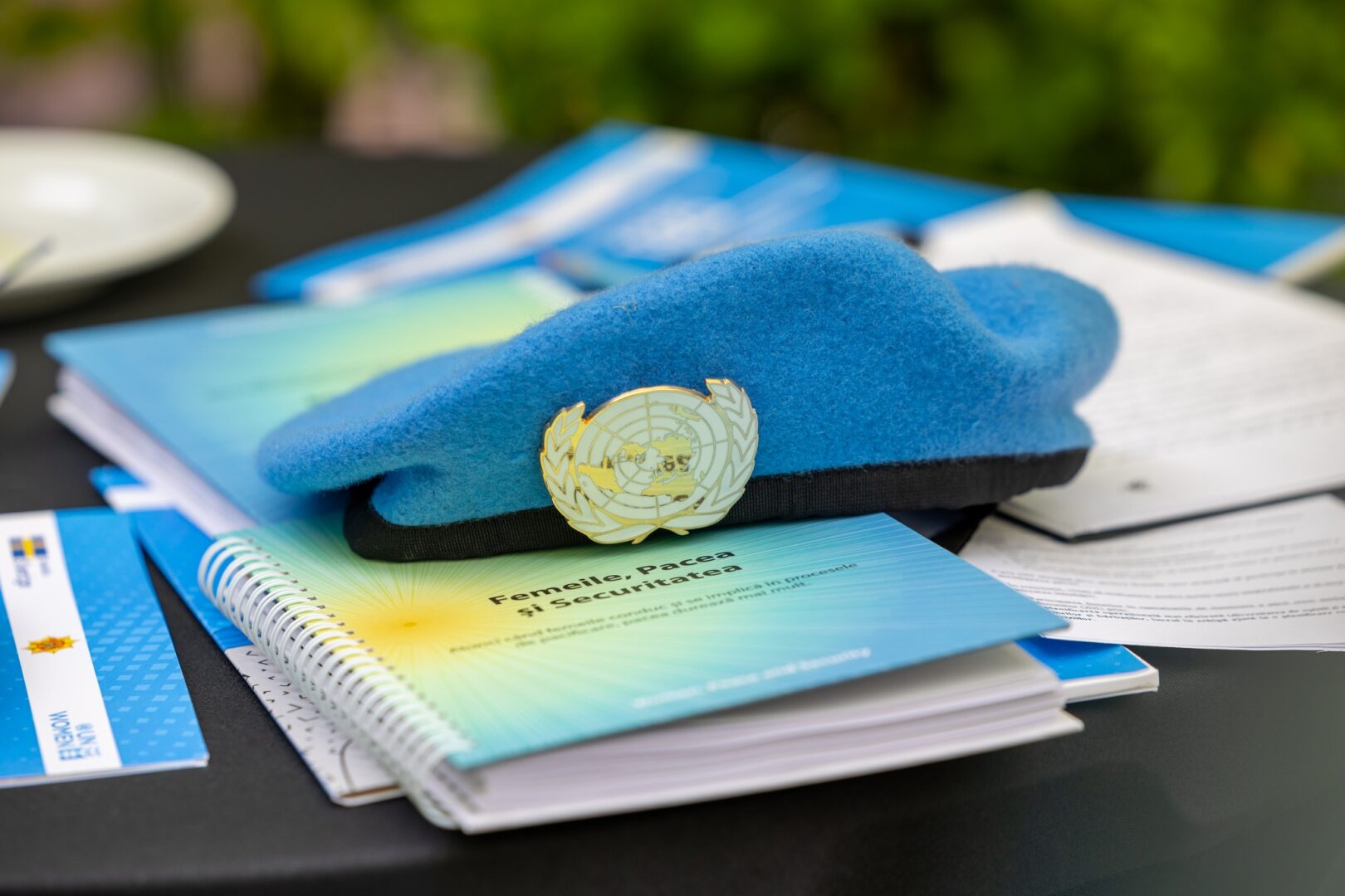 Ziua Internațională a Trupelor ONU de Menținere a Păcii